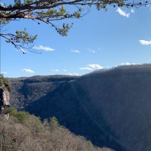 Meet your Posher, Tori